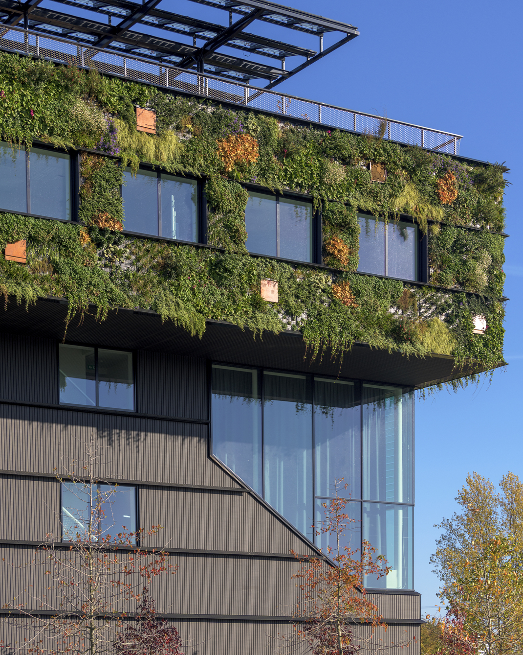 Novastruct | Aeres Hogeschool | Almere